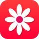 Gallery - Photo Album icon