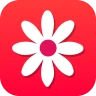 Gallery - Photo Album icon