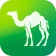 Camel Live icon