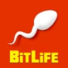BitLife - Simulateur de vie icon