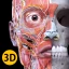 Anatomie - Atlas 3D icon