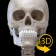 骨格 | 解剖学3D アトラス icon