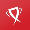 Tournament and bracket manager icon