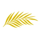 Cineasterna icon