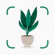 Plantify : Pflanzen Erkennen icon