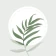 Blossom - kasvien tunnistus icon