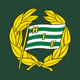 Hammarby Fotboll Live icon