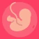 Gestational Age (baby's age) icon