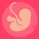 Gestational Age (baby's age) icon