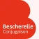 Bescherelle Conjugaison icon