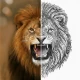 Stencify: Tattoo Stencil Maker icon