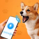 Dog Trans - Traducteur à Chien icon
