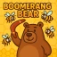 Boomerang Bear icon