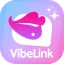 VibeLink icon