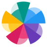 Wellness Wheel icon