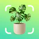 AI Plant Identifier & Care icon