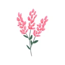 Fleur Budjetti Expense Tracker icon