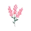 Fleur Budjetti Expense Tracker icon