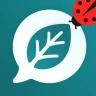 Florum: Identificar Plantas icon