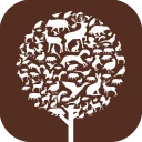 ChassAdapt icon