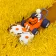 Stone Grass: simulator spil icon
