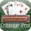 Cribbage Pro Online! icon