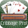 Cribbage Pro Online! icon