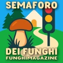 Semaforo dei Funghi icon