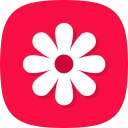 Gallery - photo gallery, album icon