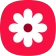 Gallery icon