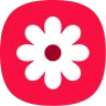 Gallery icon