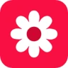 Gallery icon