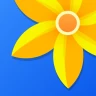 Gallery - Photo Gallery, Album icon