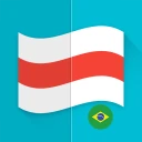 Flaggor icon