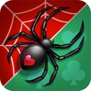 Spider Solitaire icon