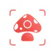 Picture Mushroom - Pilzführer icon