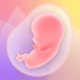 Pregnancy Tracker App | Glow icon