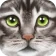 Ultimate Cat Simulator icon