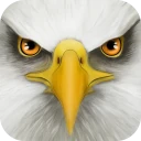 Ultimate Bird Simulator icon
