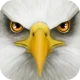 Ultimate Bird Simulator icon