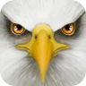 Ultimate Bird Simulator icon