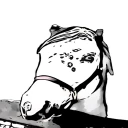 Robe Du Cheval - Quiz icon