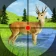 rådyrjakt simulator spill icon