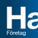 Handelsbanken SE – Företag icon