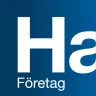 Handelsbanken SE – Företag icon