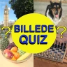 Pic Quiz icon