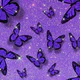 Fond d'écran violet icon