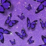 Fond d'écran violet icon