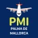 Mallorca Airport PMI icon