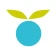 Huckleberry: Smart Baby Care icon